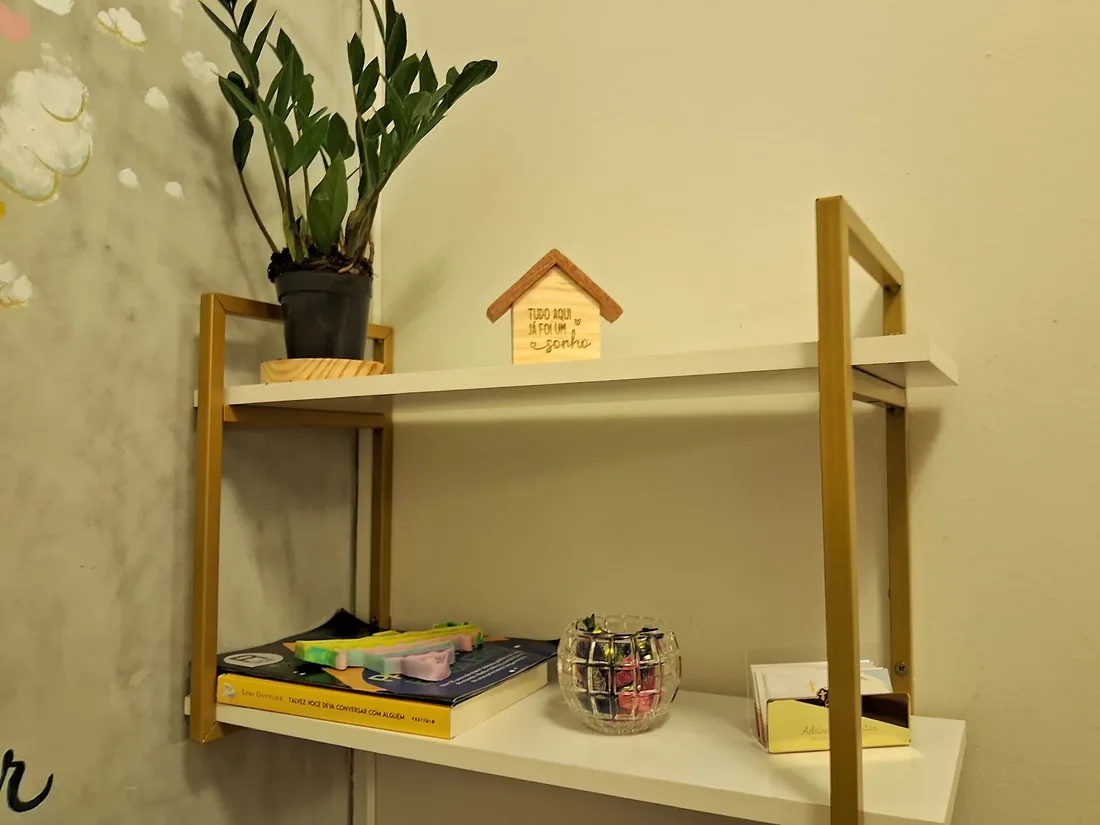 Prateleira dourada com planta, casinha de madeira e livros
